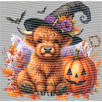 Halloween-WS 5724